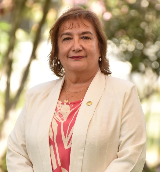 Laura Villarroel Barra
